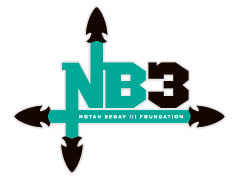 NBF3-logo-footer