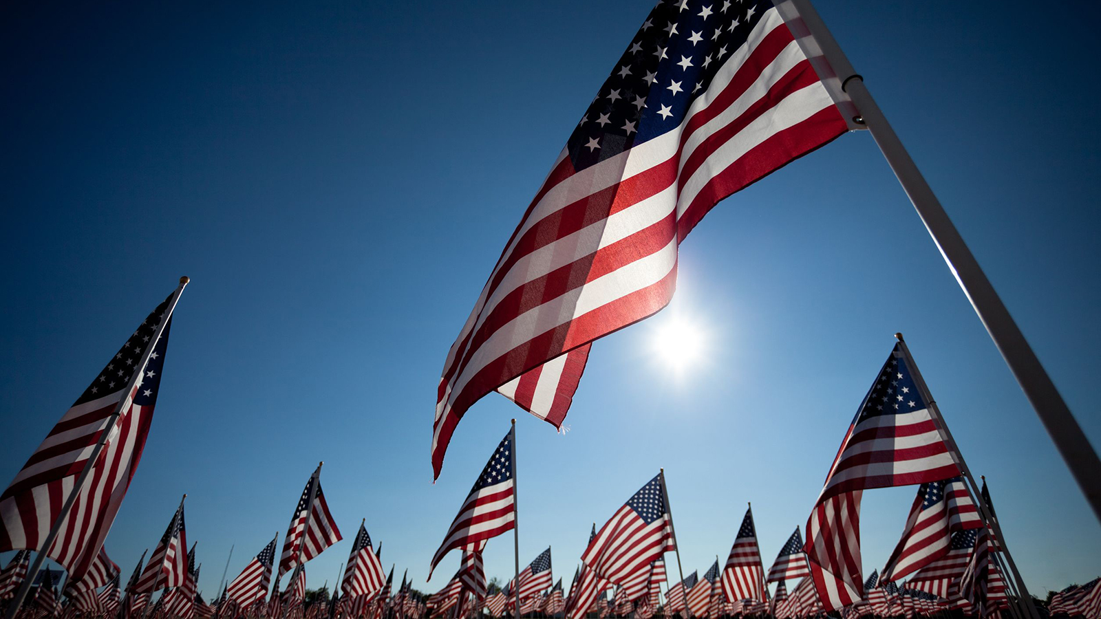 Veterans Day - American Flag