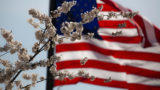 memorial day - American flag spring flowers