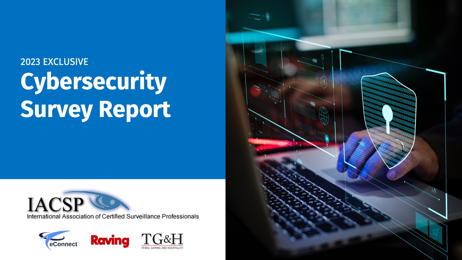 IACSP Cybersecurity Survey Report 2023
